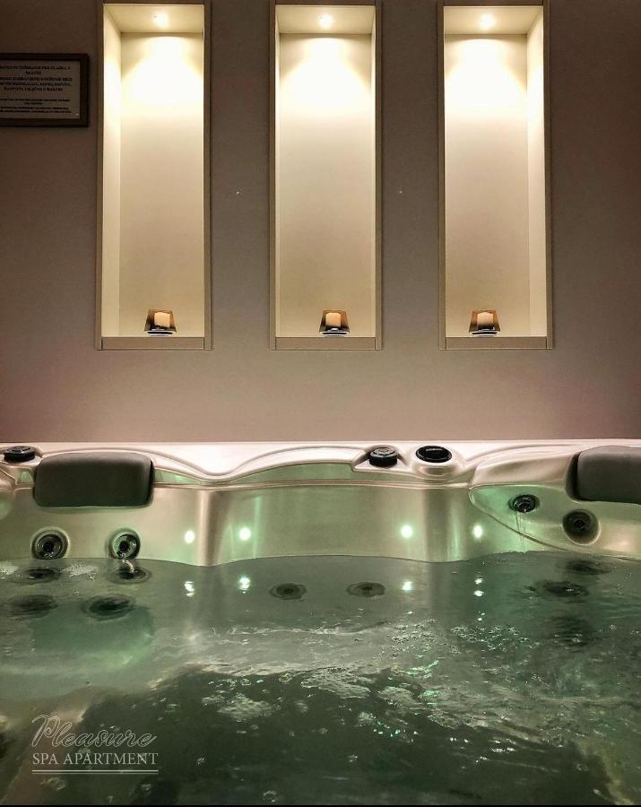 Spa Pleasure Apartman Νόβι Σαντ Εξωτερικό φωτογραφία